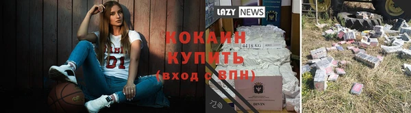 mdpv Елабуга
