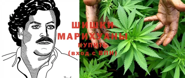 mdpv Елабуга