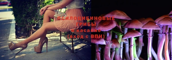 MESCALINE Ельня